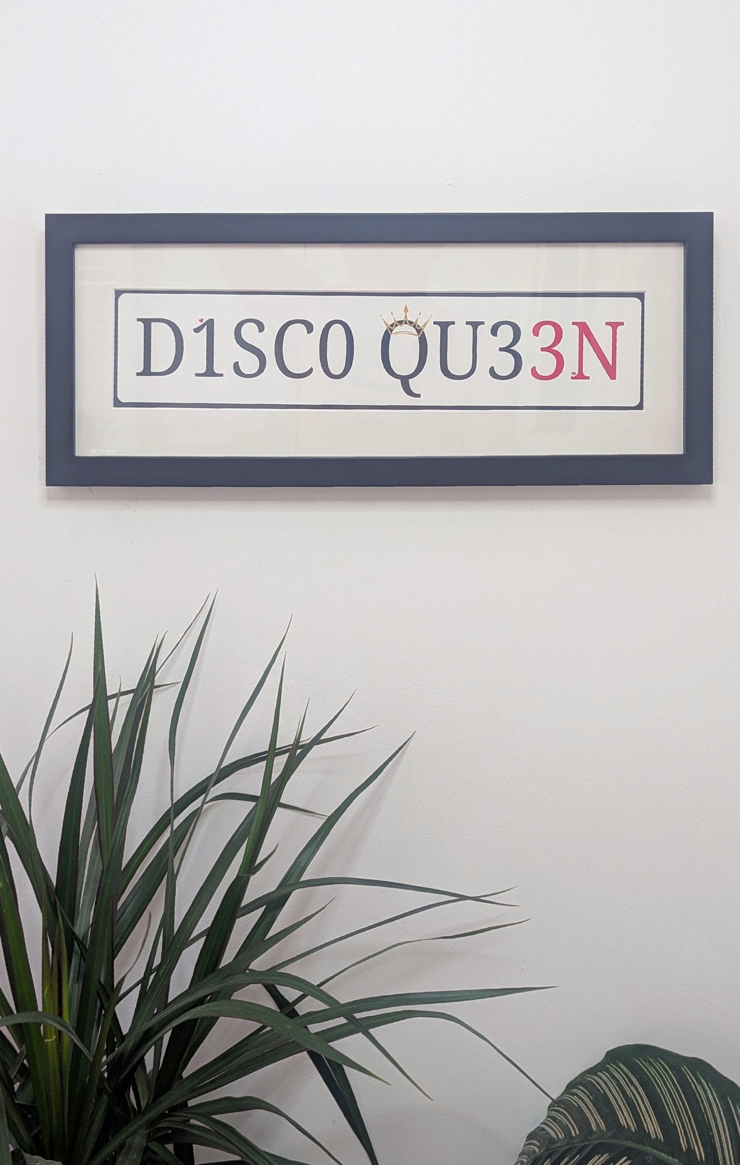 Disco Queen - Limited